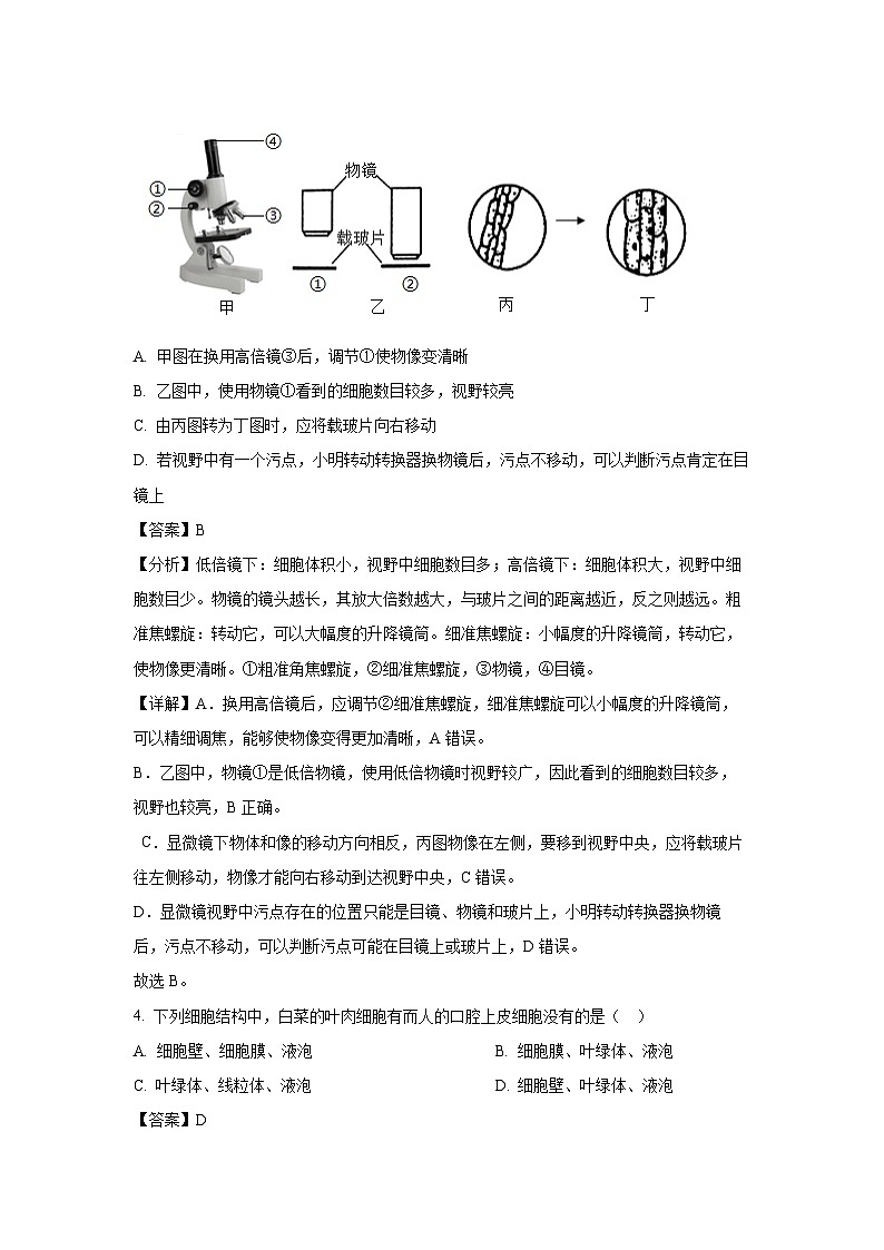 河北省邢台市南宫市2024-2025学年七年级上学期期末生物试卷（解析版）第3页