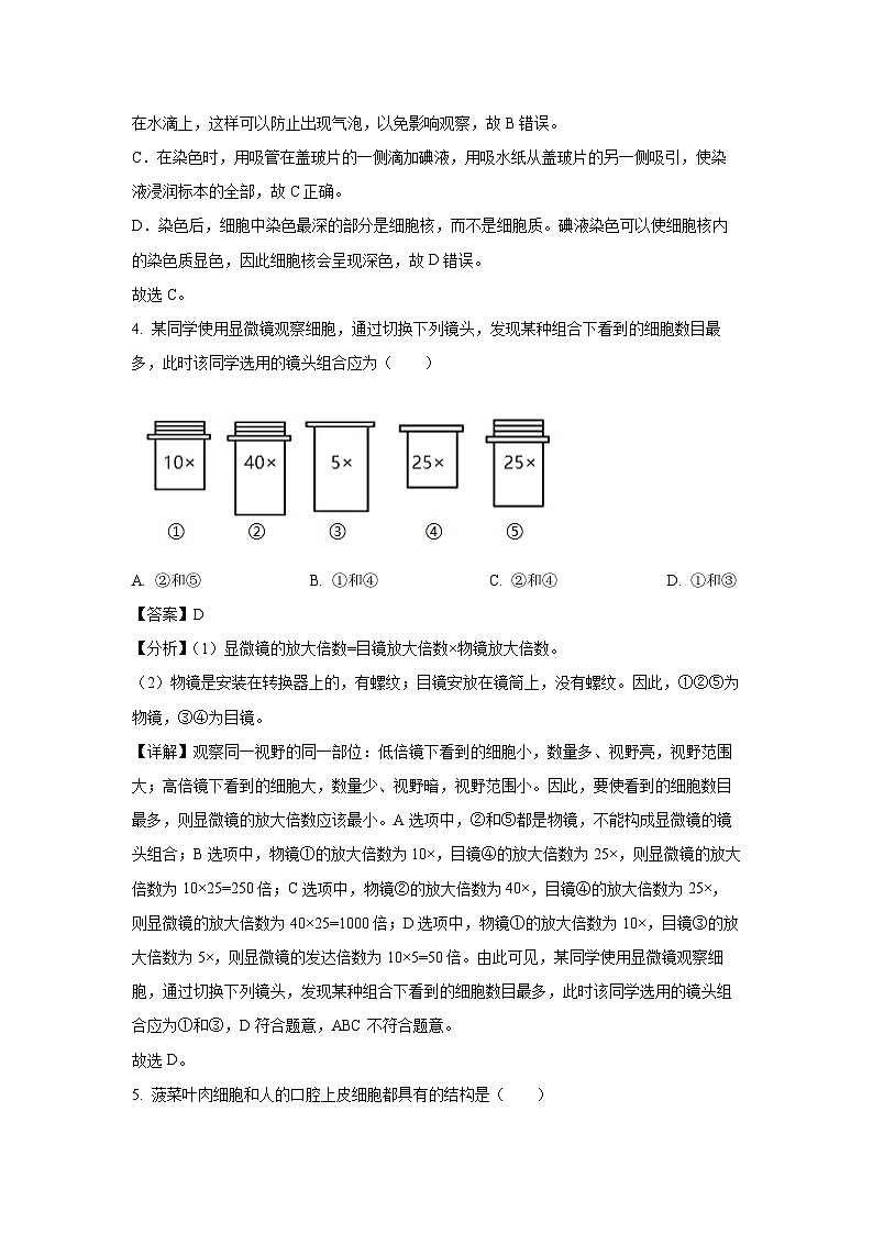 江苏省盐城市东台市2024-2025学年七年级上学期期末生物试卷（解析版）第3页