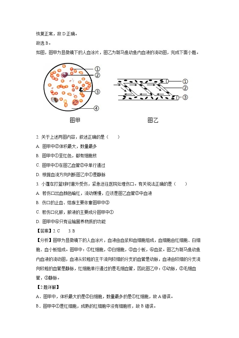山东省烟台市蓬莱区（五四制）2024-2025学年七年级上期末生物试卷（解析版）第2页