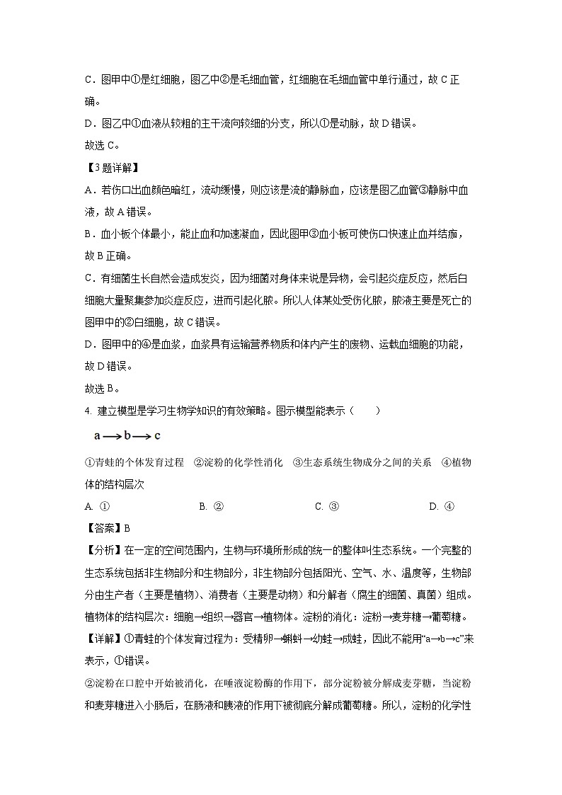 山东省烟台市蓬莱区（五四制）2024-2025学年七年级上期末生物试卷（解析版）第3页