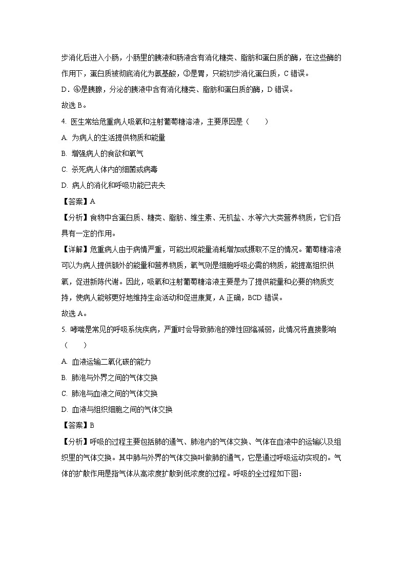 山东省淄博市周村区（五四制）2024-2025学年七年级上期末生物试卷（解析版）第3页