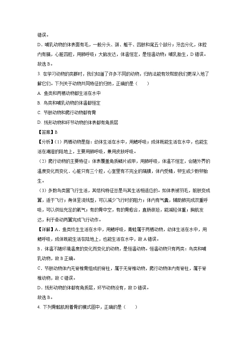 天津市红桥区2024-2025学年八年级上学期期末生物试卷（解析版）第2页