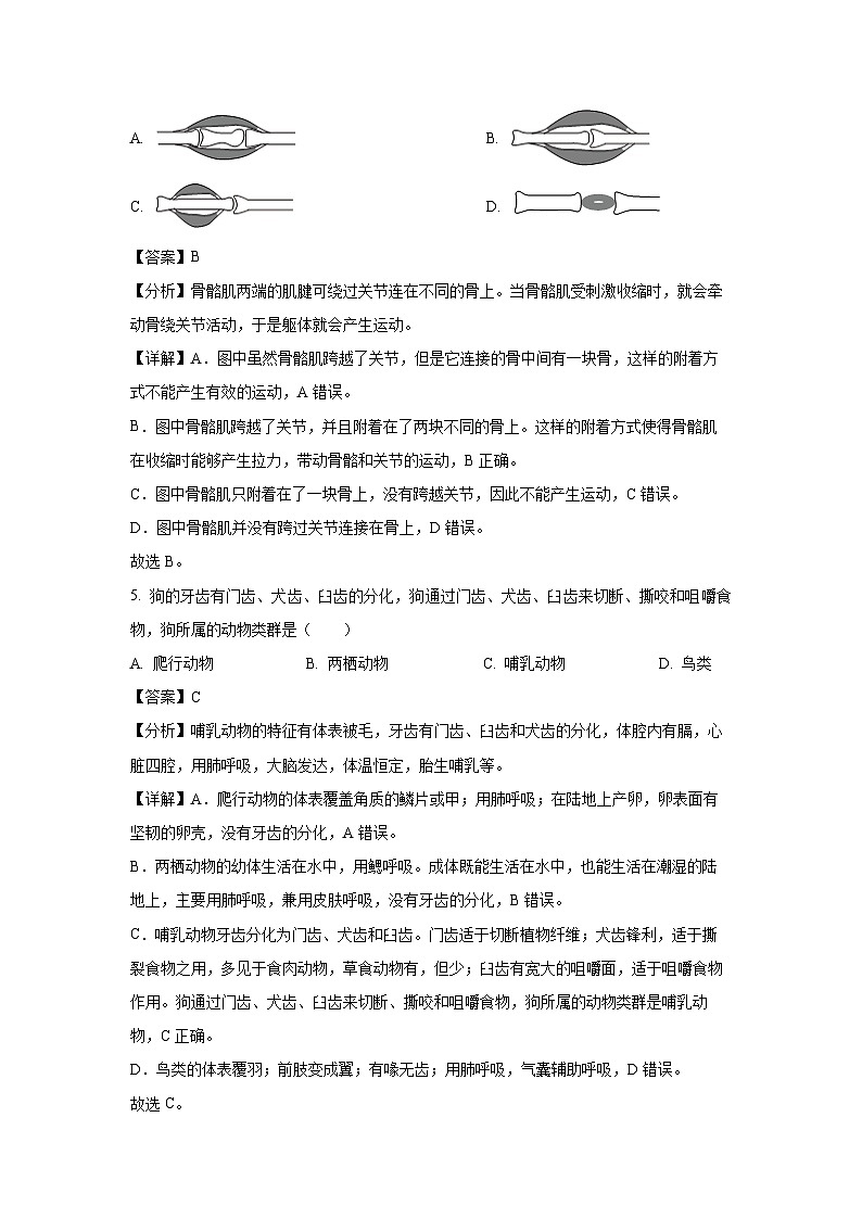 天津市红桥区2024-2025学年八年级上学期期末生物试卷（解析版）第3页