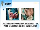 3.1.1 人的呼吸（第1课时）（新教材课件）-2024-2025学年七年级生物下册（北京版2024）