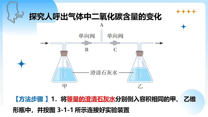 3.1.1 人的呼吸（第1课时）（新教材课件）-2024-2025学年七年级生物下册（北京版2024）第8页