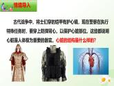 3.2.1  血液循環(huán)系統(tǒng)的組成（三、心臟）-2024-2025學年七年級生物下冊課件（冀少版2024）