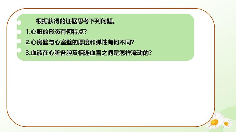 3.2.1  血液循环系统的组成（三、心脏）-2024-2025学年七年级生物下册课件（冀少版2024）第5页