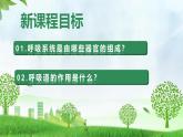 4.3.1 呼吸道对空气的处理（课件）-2024-2025学年七年级生物下册（人教版2024）