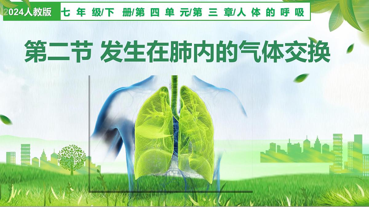 4.3.2 发生在肺内的气体交换（课件）-2024-2025学年七年级生物下册（人教版2024）第1页