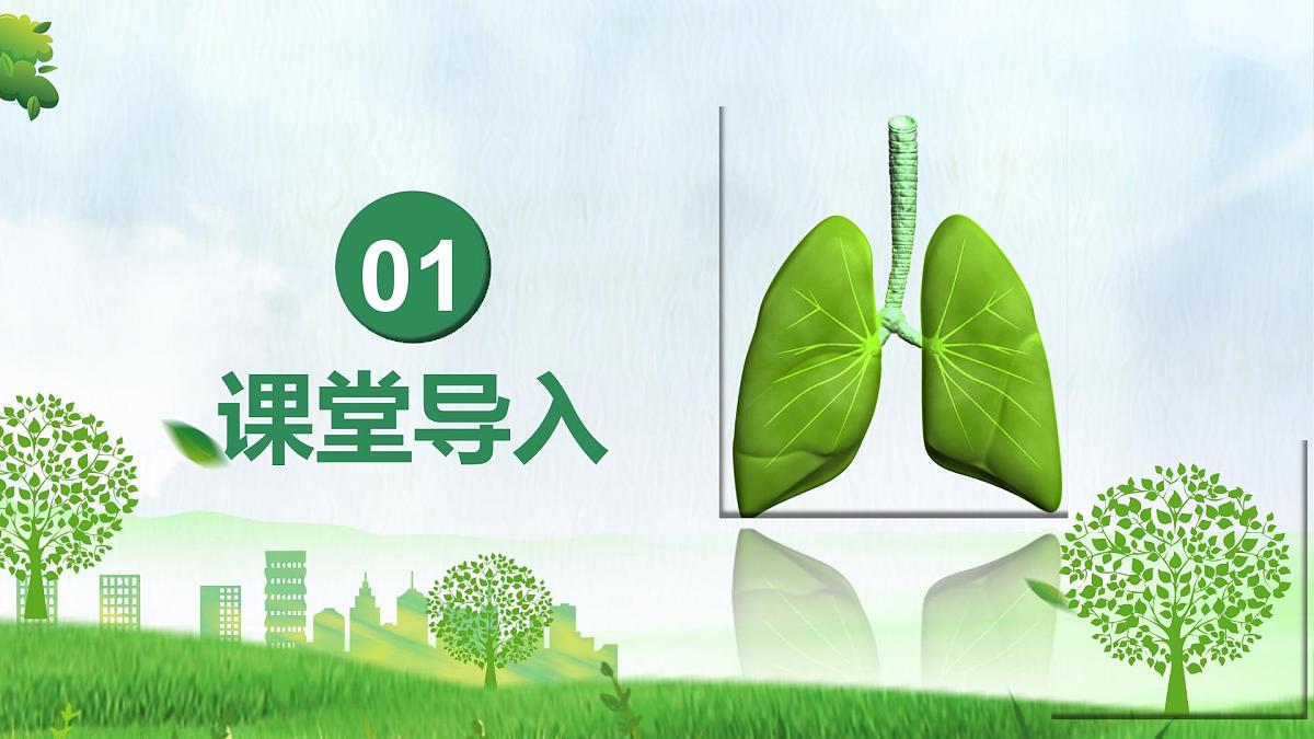4.3.2 发生在肺内的气体交换（课件）-2024-2025学年七年级生物下册（人教版2024）第3页