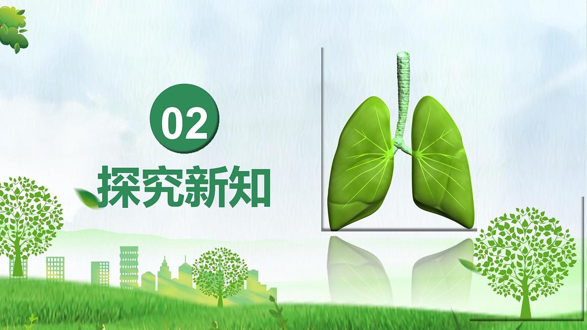 4.3.2 发生在肺内的气体交换（课件）-2024-2025学年七年级生物下册（人教版2024）第5页