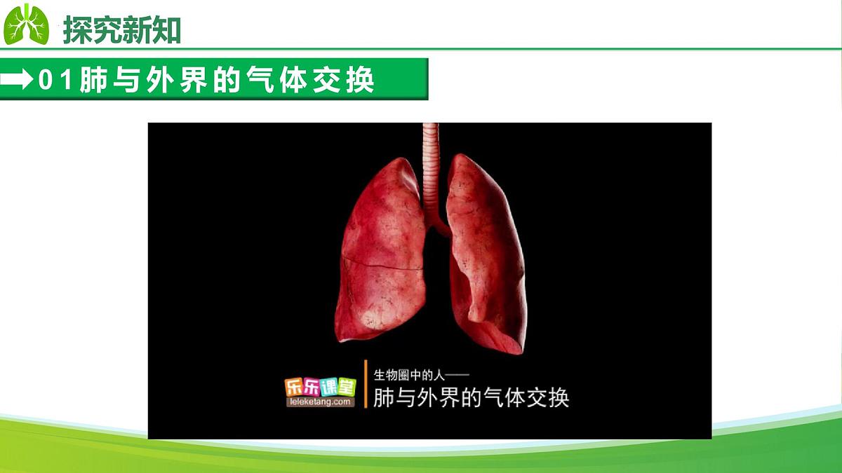4.3.2 发生在肺内的气体交换（课件）-2024-2025学年七年级生物下册（人教版2024）第6页
