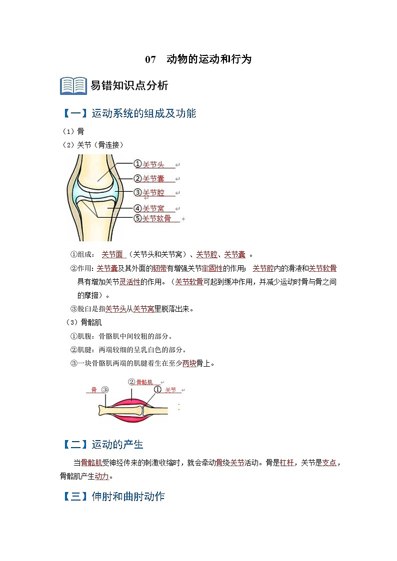 07  动物的运动和行为（解析版）第1页
