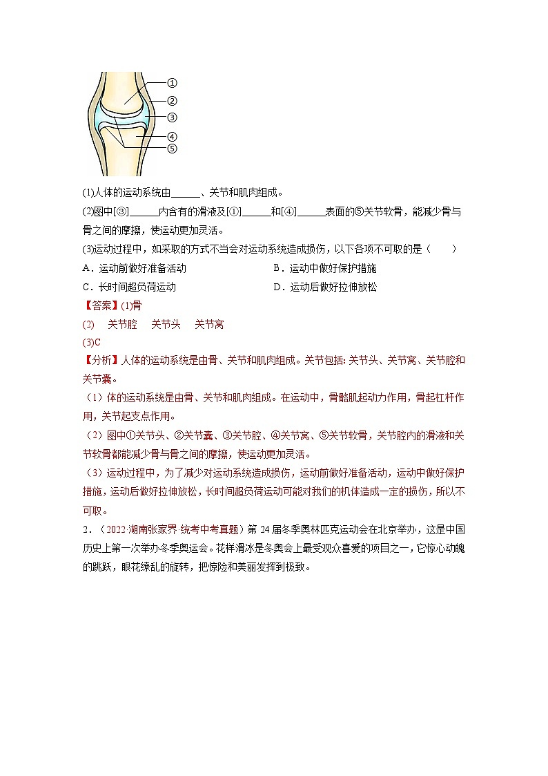 07  动物的运动和行为（解析版）第3页