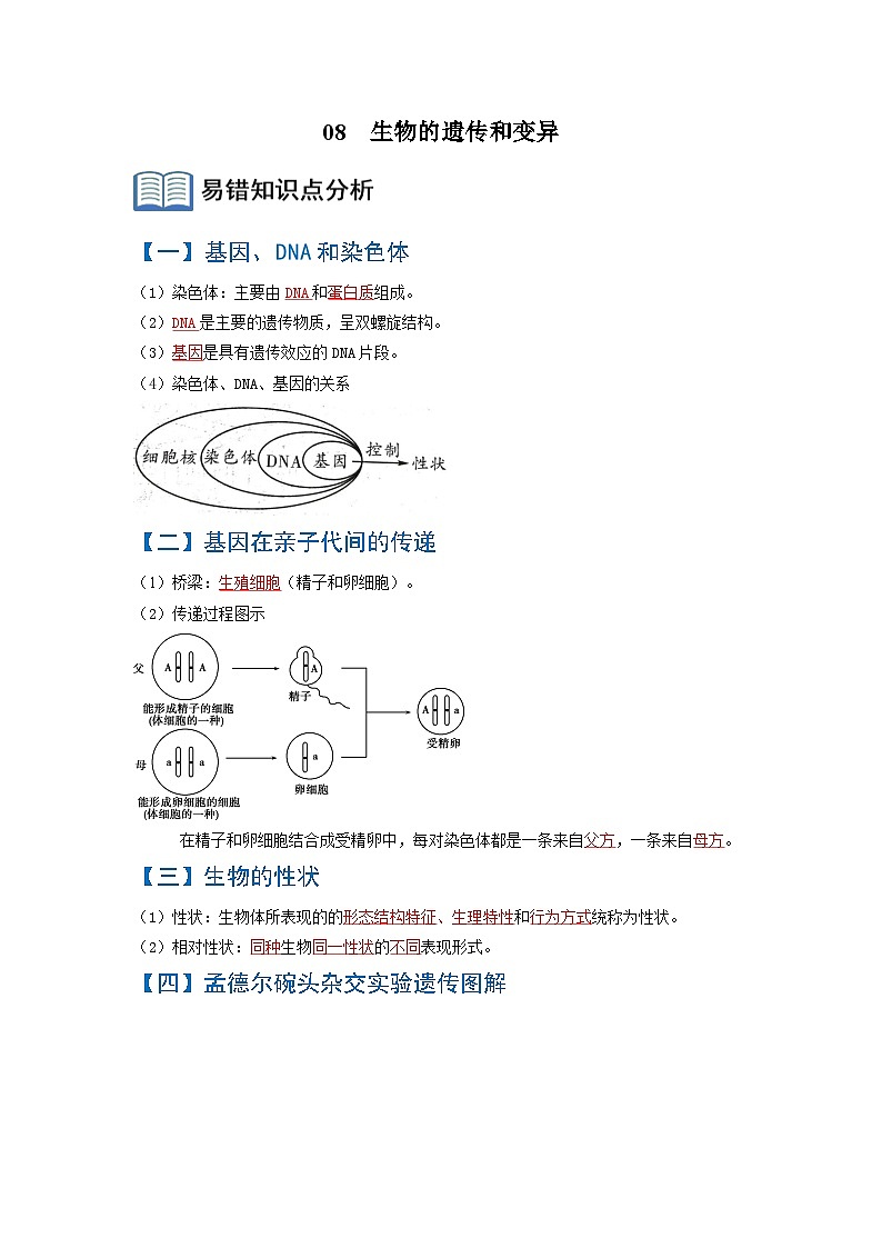 08  生物的遗传和变异（原卷版）第1页