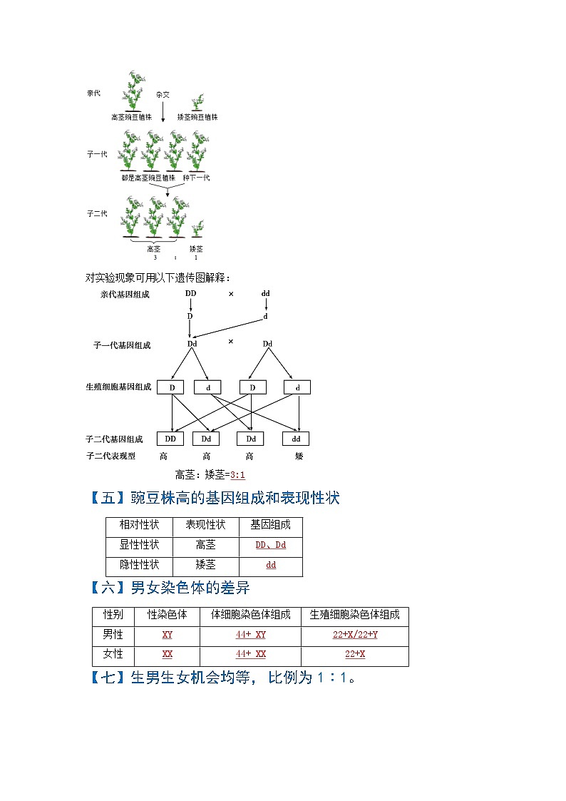 08  生物的遗传和变异（原卷版）第2页