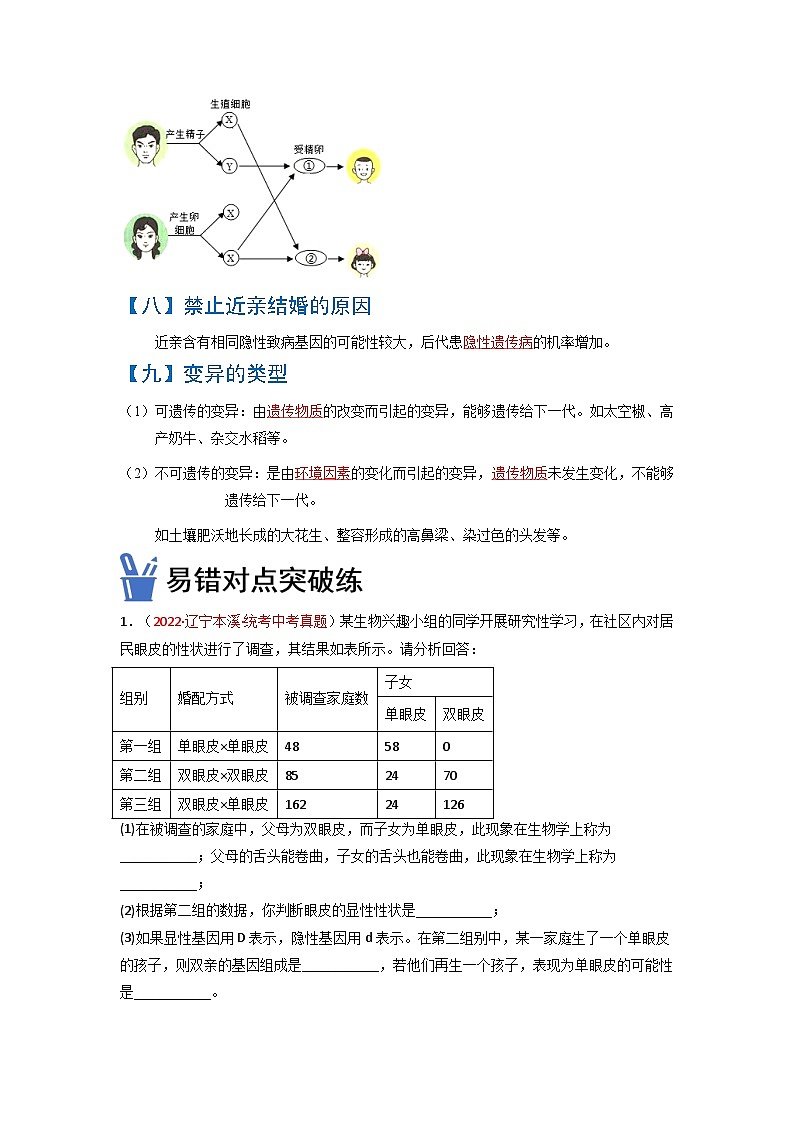 08  生物的遗传和变异（原卷版）第3页