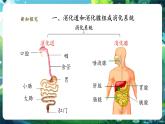【新教材核心素养】北师大版生物七年级下册 4.6.2.1食物的消化和营养物质的吸收（第1课时）（课件+单元教学设计+教案+思维导图）