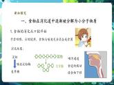 【新教材核心素养】北师大版生物七年级下册 4.6.2.2食物的消化和营养物质的吸收（第2课时）（课件+单元教学设计+教案+思维导图）