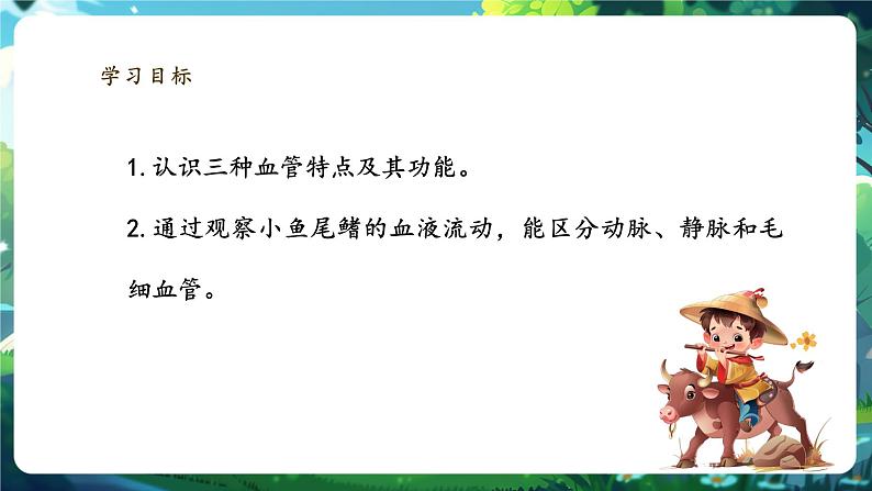 【大单元整体教学设计】北师大版生物七下4.7.2.1血液循环（第一课时）课件(共29张PPT)+视频素材第3页