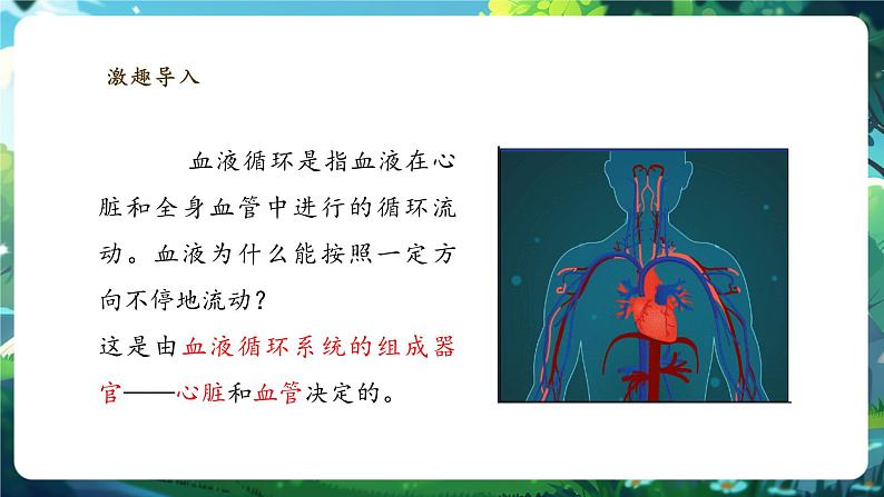 【大单元整体教学设计】北师大版生物七下4.7.2.1血液循环（第一课时）课件(共29张PPT)+视频素材第4页