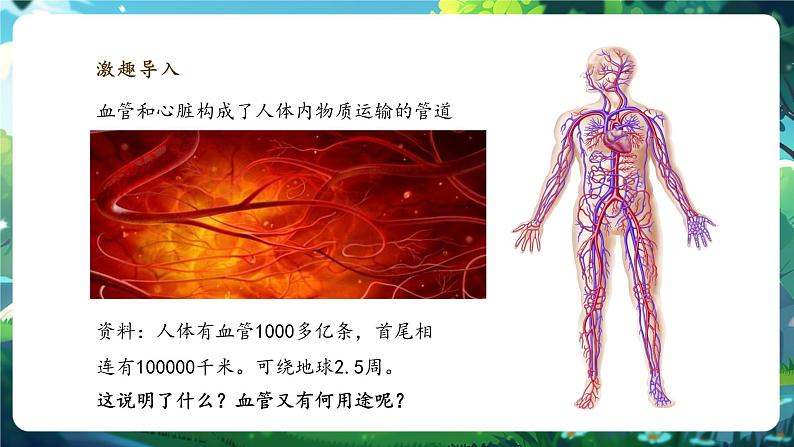 【大单元整体教学设计】北师大版生物七下4.7.2.1血液循环（第一课时）课件(共29张PPT)+视频素材第5页