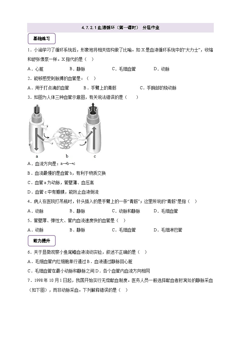 【大单元整体教学设计】北师大版生物七下4.7.2.1血液循环（第一课时）分层作业（含答案）第1页