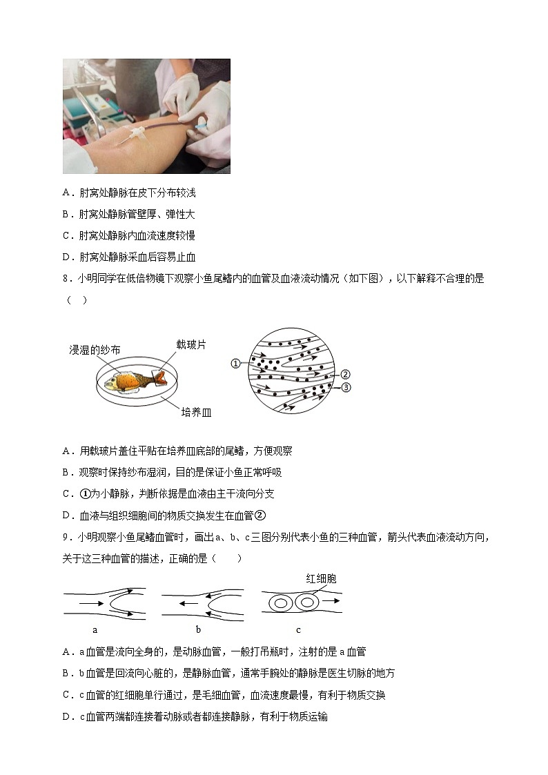 【大单元整体教学设计】北师大版生物七下4.7.2.1血液循环（第一课时）分层作业（含答案）第2页