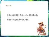 【新教材核心素養(yǎng)】北師大版生物七年級下冊 4.7.2.2血液循環(huán)（第2課時）（課件+單元教學設(shè)計+教案+思維導圖）