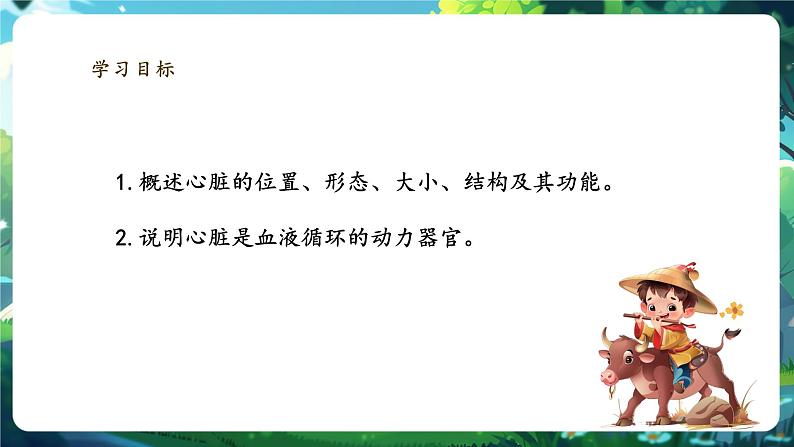 【大单元整体教学设计】北师大版生物七下4.7.2.2血液循环（第二课时）课件(共32张PPT)+视频素材第3页