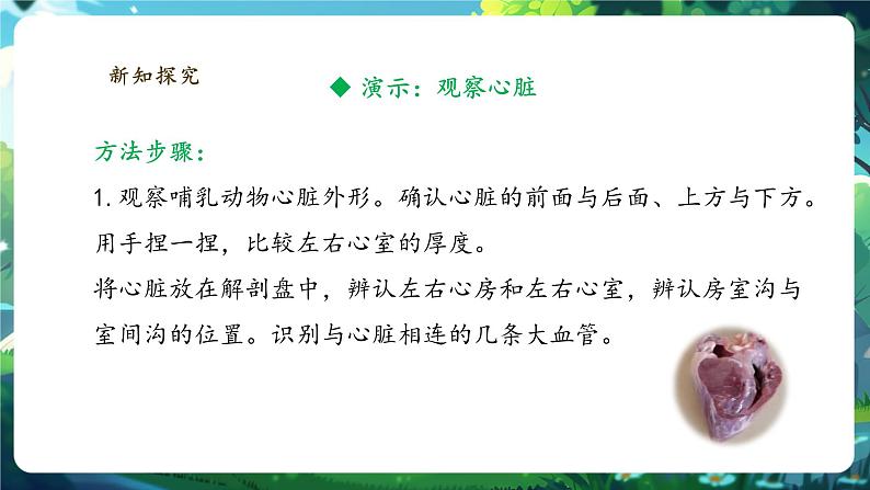 【大单元整体教学设计】北师大版生物七下4.7.2.2血液循环（第二课时）课件(共32张PPT)+视频素材第7页