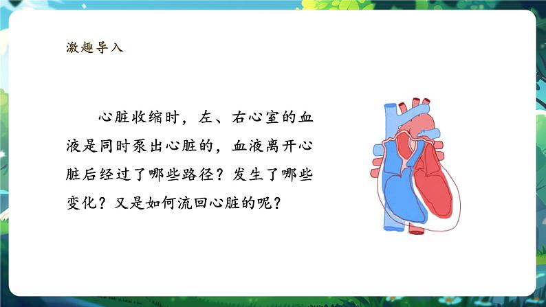 【大单元整体教学设计】北师大版生物七下4.7.2.3血液循环（第三课时）课件(共24张PPT)第4页