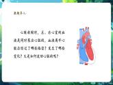 【新教材核心素養(yǎng)】北師大版生物七年級下冊 4.7.2.3血液循環(huán)（第3課時）（課件+單元教學設(shè)計+教案+思維導圖）