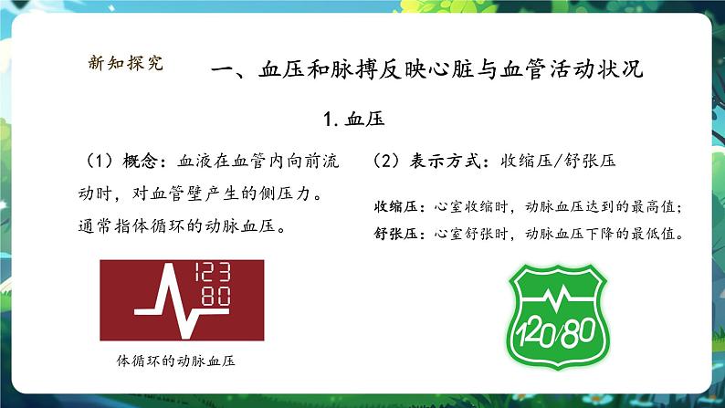 【大单元整体教学设计】北师大版生物七下4.7.2.4血液循环（第四课时）课件(共27张PPT)第6页