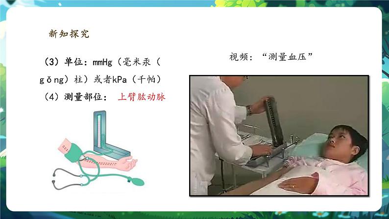 【大单元整体教学设计】北师大版生物七下4.7.2.4血液循环（第四课时）课件(共27张PPT)第7页