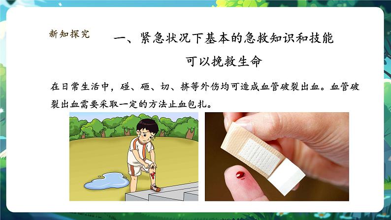 【大单元整体教学设计】北师大版生物七下4.7.2.5血液循环（第五课时）课件(共28张PPT)第5页