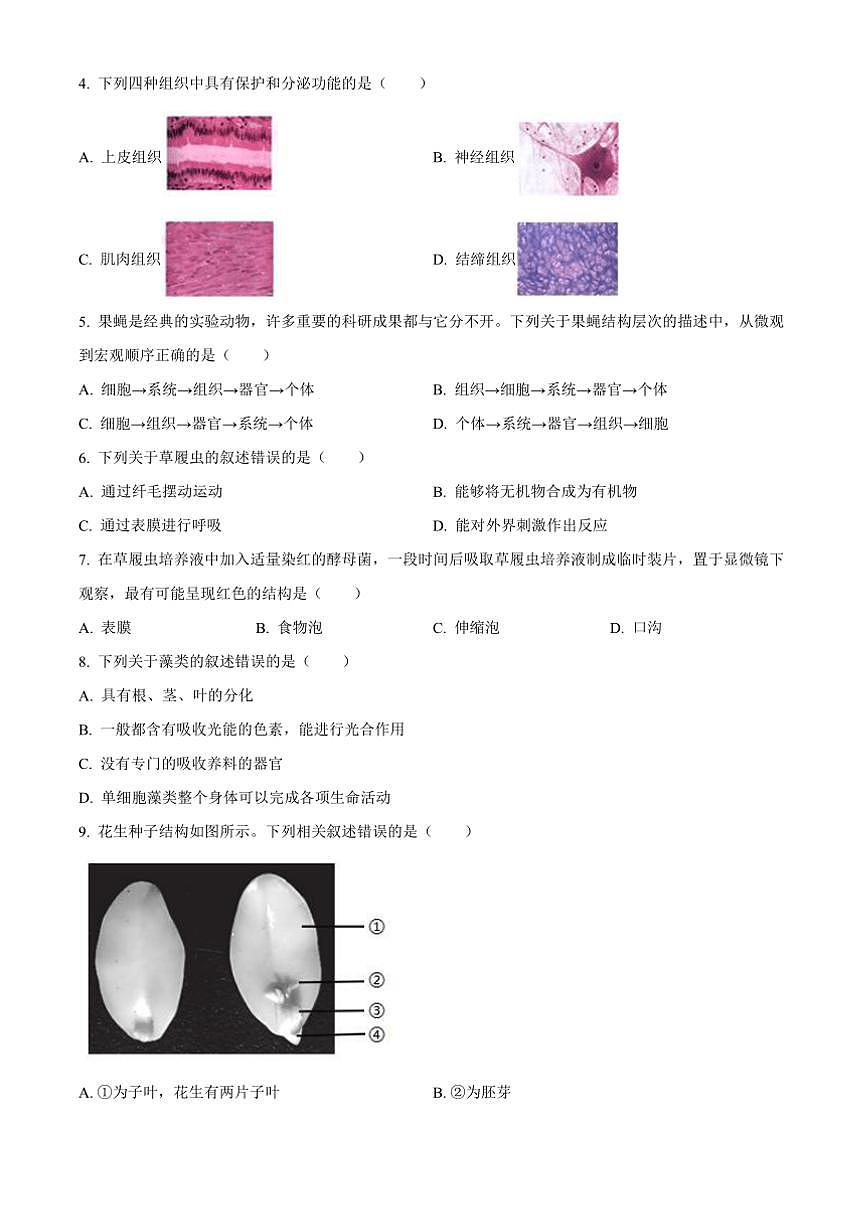 2024～2025学年北京市东城区七年级上期末生物试卷(含答案)第2页