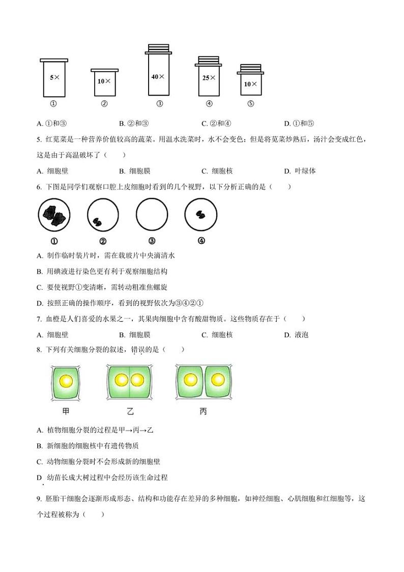 2024～2025学年北京市朝阳区七年级上期末生物试卷(含答案)第2页