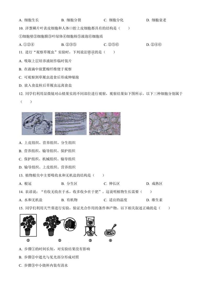 2024～2025学年北京市朝阳区七年级上期末生物试卷(含答案)第3页