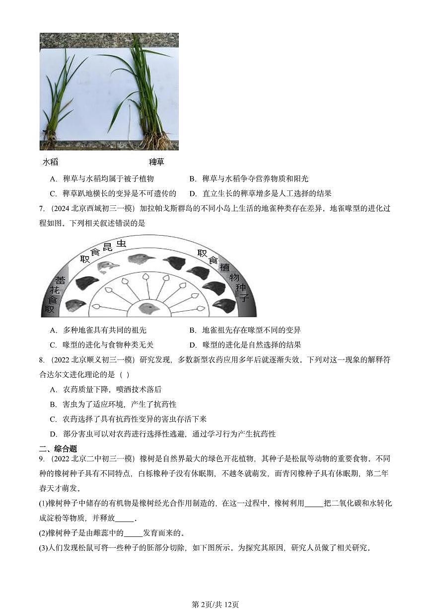 2022-2024北京初三中考一模生物汇编：生物进化的原因第2页