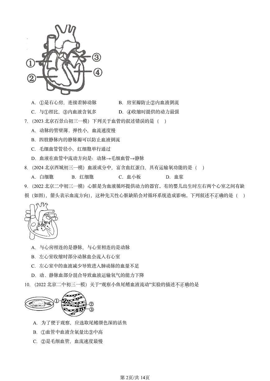 2022-2024北京初三中考一模生物汇编：人体内物质的运输章节综合第2页