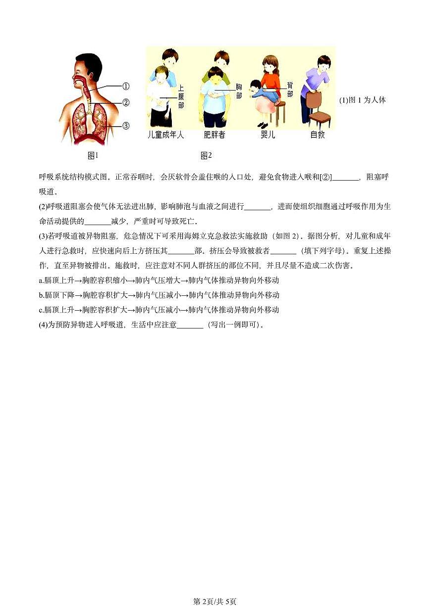 2022-2024北京初三中考一模生物汇编：人的呼吸（京改版）第2页