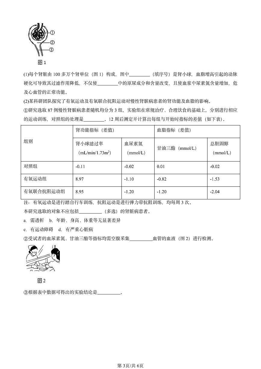 2022-2024北京初三中考一模生物汇编：尿液的形成和排出（京改版）第3页