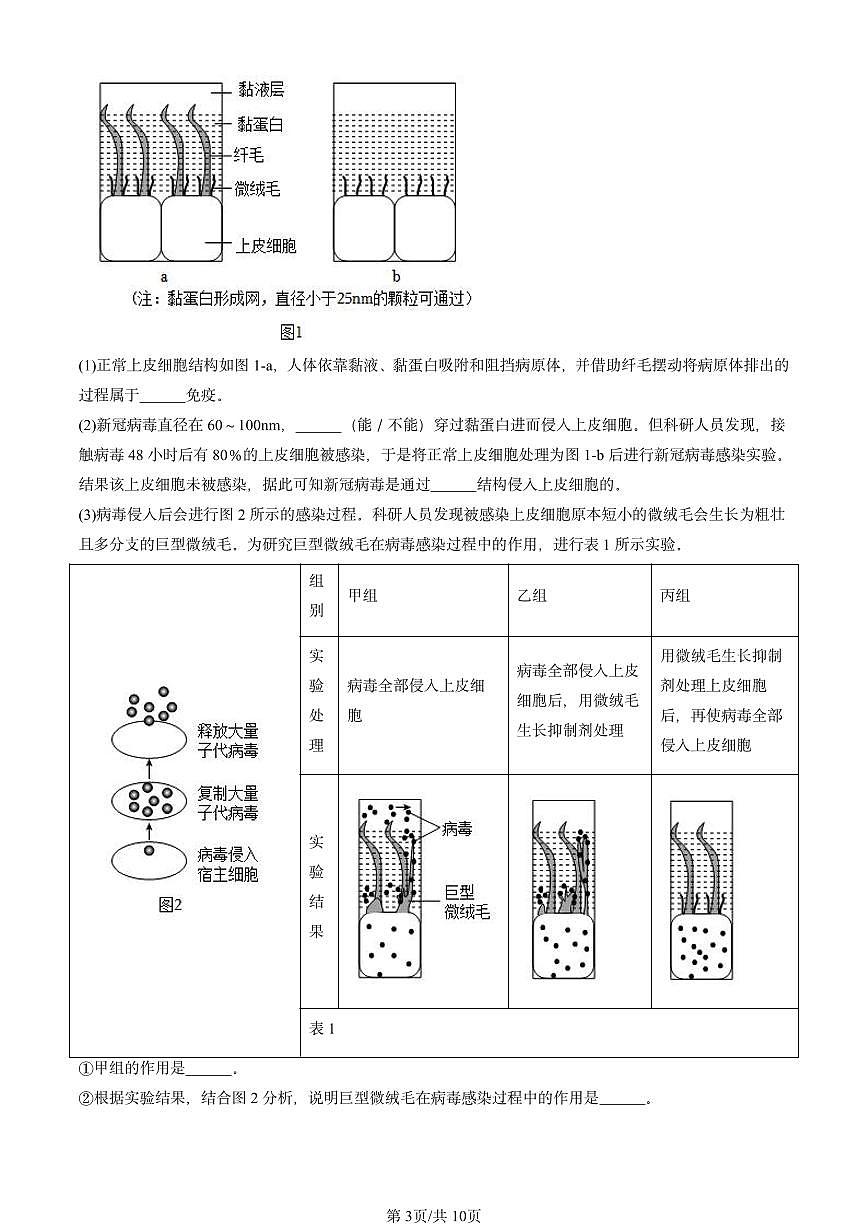 2022-2024北京初三中考一模生物汇编：免疫与计划免疫第3页
