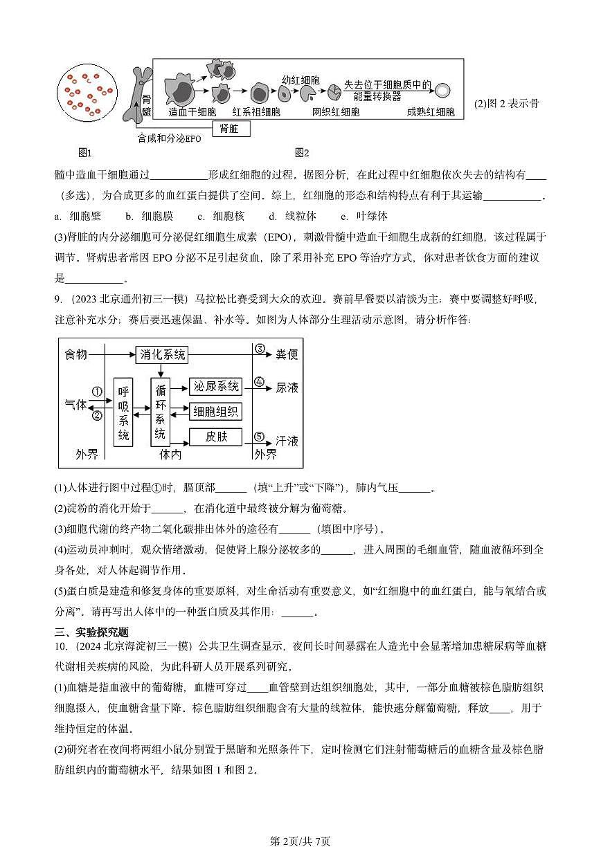 2022-2024北京初三中考一模生物汇编：激素调节第2页