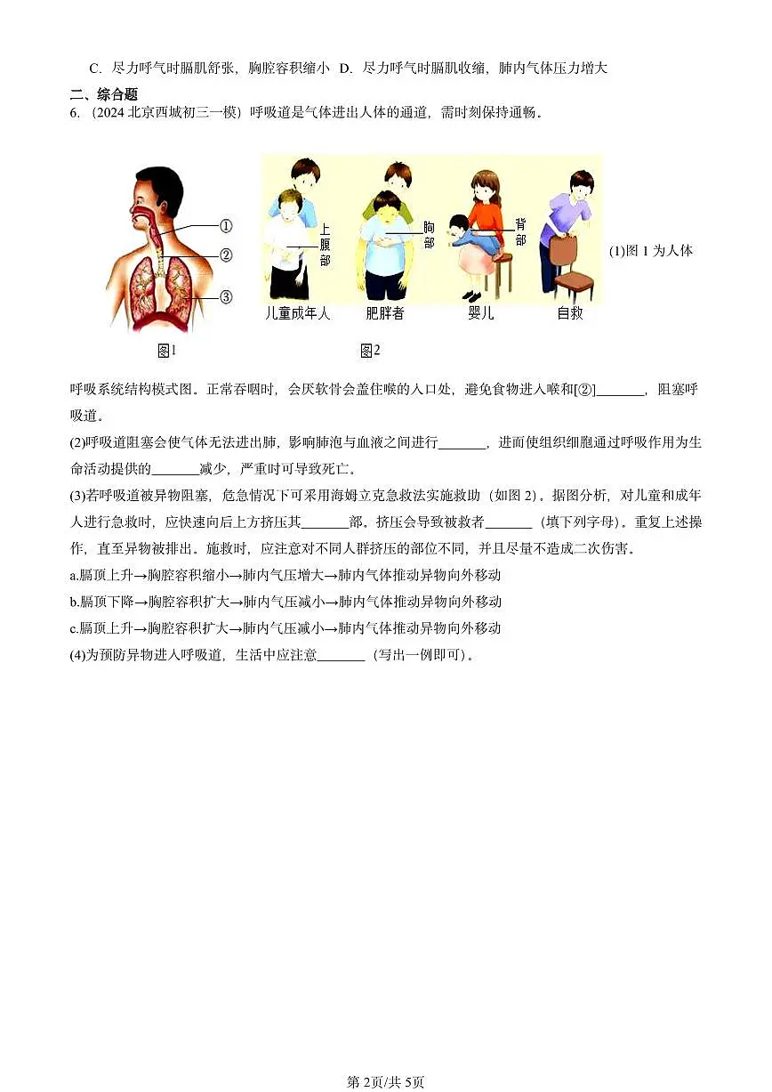 2022-2024北京初三中考一模生物汇编：发生在肺内的气体交换第2页