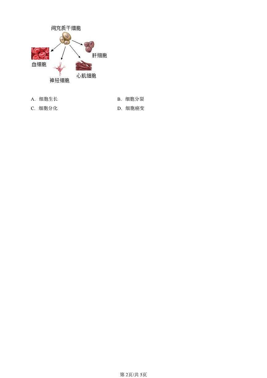 2024北京初三中考一模生物汇编：生物体的结构章节综合（京改版）第2页