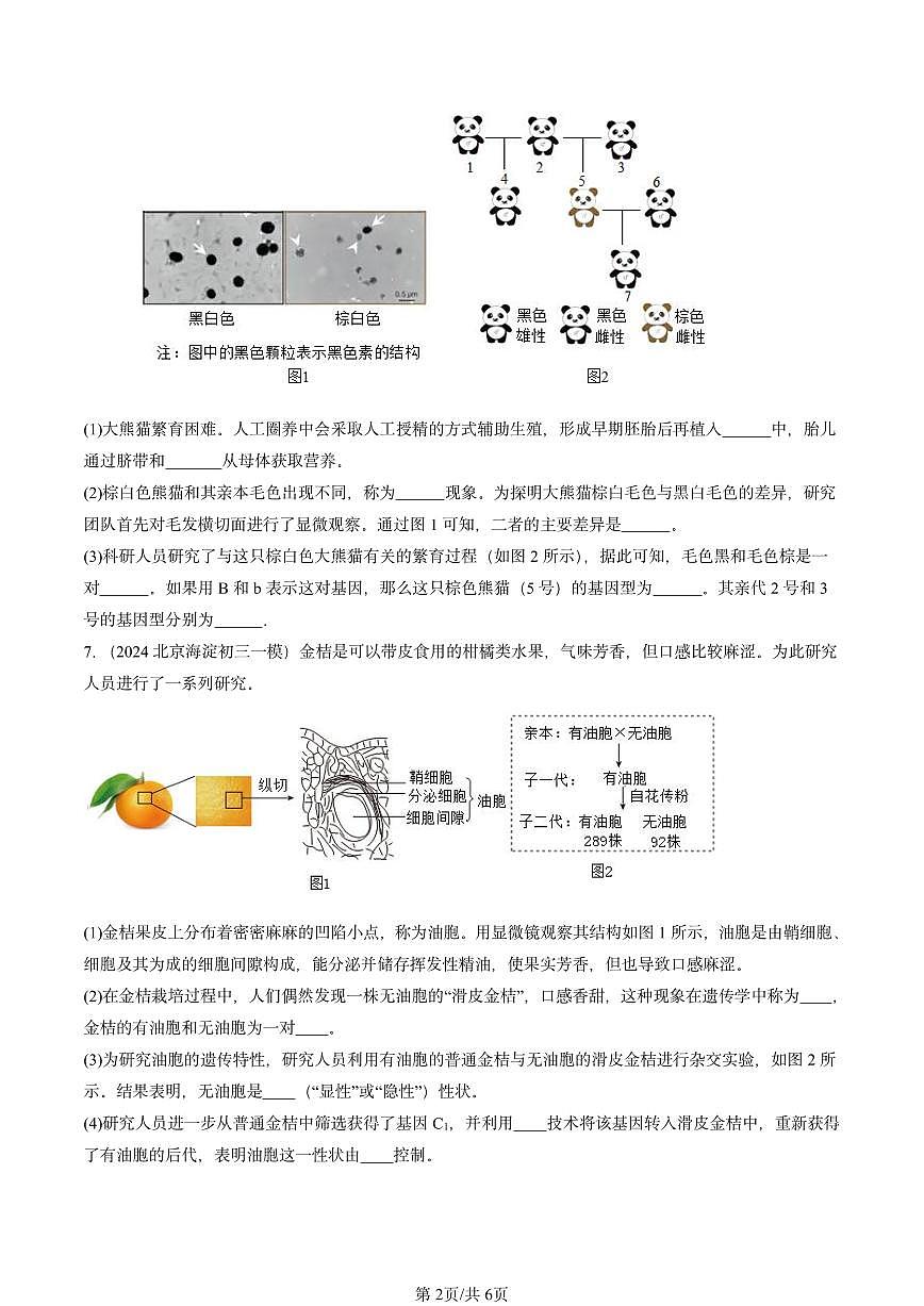 2024北京初三中考一模生物汇编：生物的遗传和变异章节综合第2页