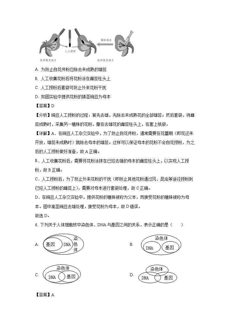 北京市房山区2024-2025学年八年级(上)期末生物试卷（解析版）第3页