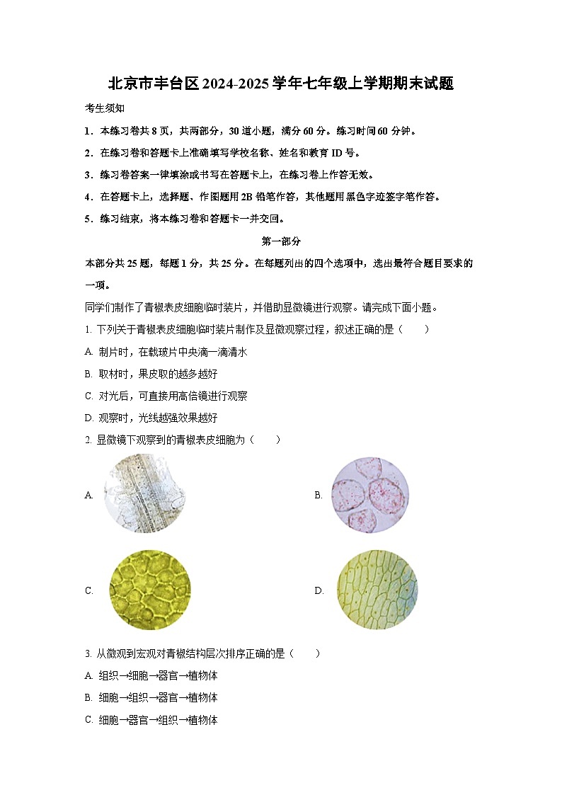 北京市丰台区2024-2025学年七年级(上)期末生物试卷（解析版）第1页